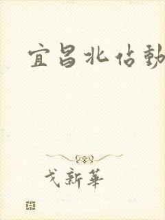 宜昌北站动车票
