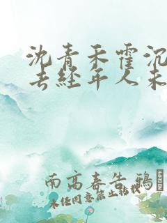 沈青禾霍沉洲此去经年人未还