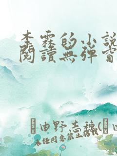 李霖的小说免费阅读无弹窗