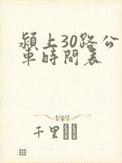 颍上30路公交车时间表