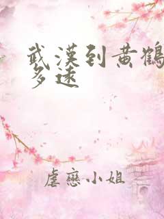 武汉到黄鹤楼有多远