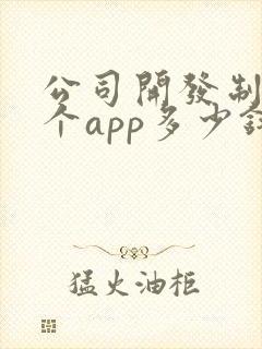 公司开发制作一个app多少钱