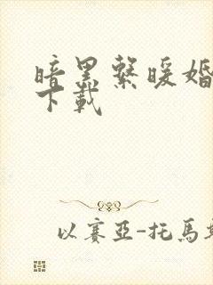 暗黑系暖婚全本下载