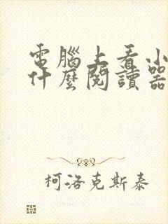 电脑上看小说用什么阅读器 电脑上看小说用什么阅读器