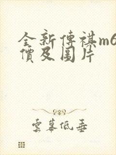 全新传祺m6报价及图片