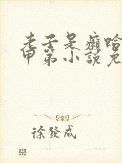 老子是癞蛤蟆赵甲第小说免费阅读全文无删减
