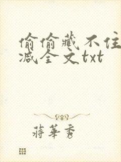 偷偷藏不住无删减全文txt