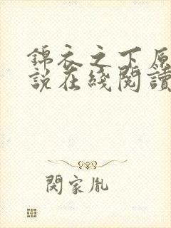锦衣之下原著小说在线阅读