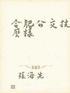 合肥公交技校怎么样