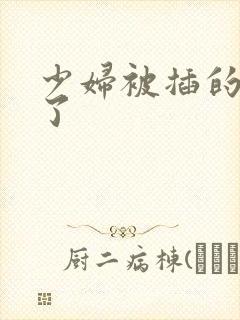 少妇被插的高潮了