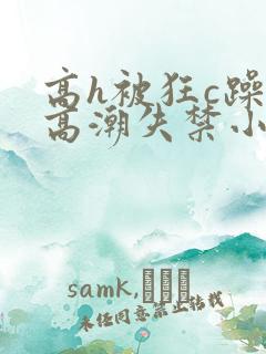 高h被狂c躁到高潮失禁小说