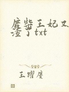 废柴王妃又在虐渣了txt