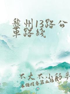 盘州13路公交车路线 盘州13路公交车路线