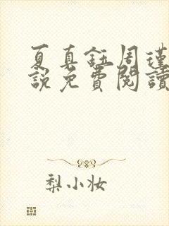夏真钰周瑾宇小说免费阅读