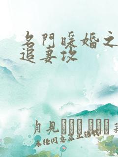 名门暖婚之权爷追妻攻