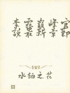 李霖巅峰官场小说最新章节