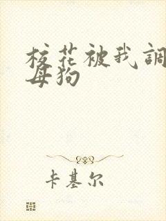 校花被我调教成母狗