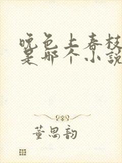 晚色上春枝短剧是哪个小说改编的