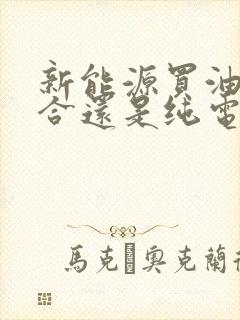 新能源买油电混合还是纯电的