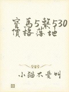 宝马5系530价格落地 宝马5系530价格落地