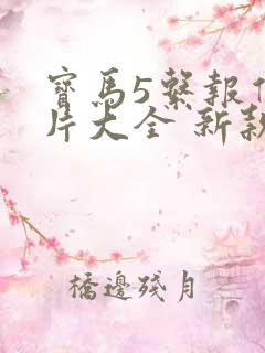 宝马5系报价图片大全 新款