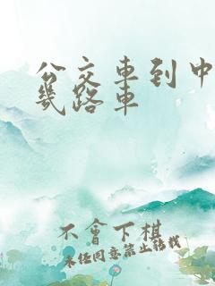 公交车到中医院几路车