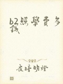 b2照学费多少钱