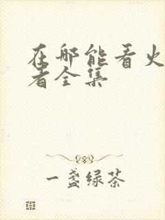 在哪能看火影忍者全集