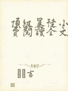顶级暴徒小说免费阅读全文无弹窗