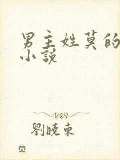 男主姓莫的总裁小说