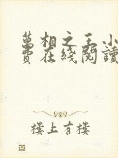 万相之王小说免费在线阅读完整版