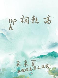 np 调教 高h np 调教 高h