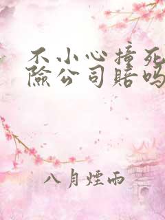 不小心撞死人保险公司赔吗