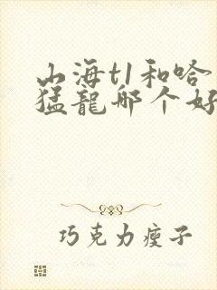 山海t1和哈弗猛龙哪个好