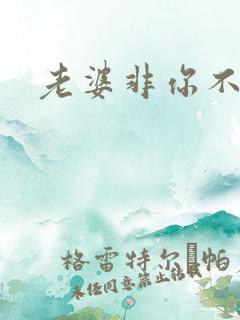 老婆非你不可 老婆非你不可