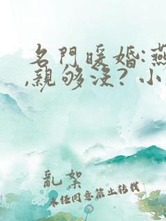 名门暖婚:燕少,亲够没? 小说