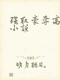 强取豪夺高干文小说
