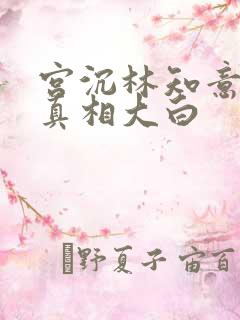 宫沉林知意后续真相大白