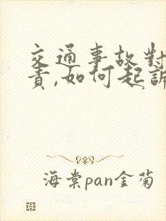 交通事故对方全责,如何起诉