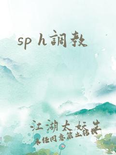 sp h调教
