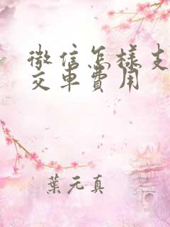 微信怎样支付公交车费用