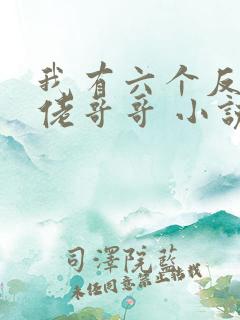 我有六个反派大佬哥哥 小说 我有六个反派大佬哥哥 小说