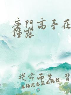 唐门高手在异世钟露 唐门高手在异世钟露