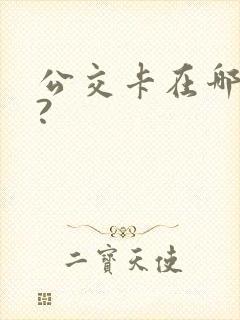 公交卡在哪里办?