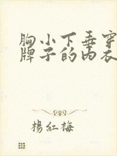 胸小下垂穿什么牌子的内衣好
