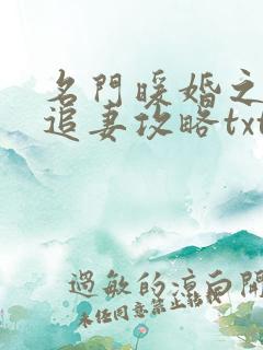 名门暖婚之权爷追妻攻略txt