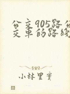公交905路公交车的路线图