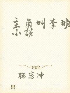 主角叫李明辉的小说