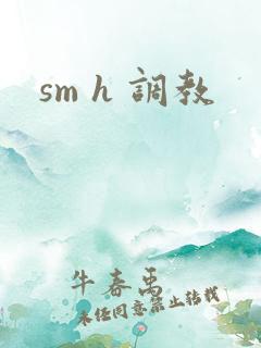 sm h 调教