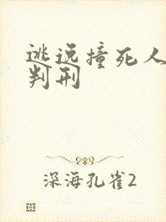 逃逸撞死人怎么判刑